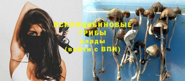 mdpv Магас