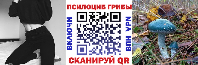 Псилоцибиновые грибы Psilocybine cubensis Среднеколымск